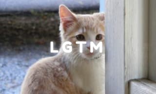 lgtmの画像